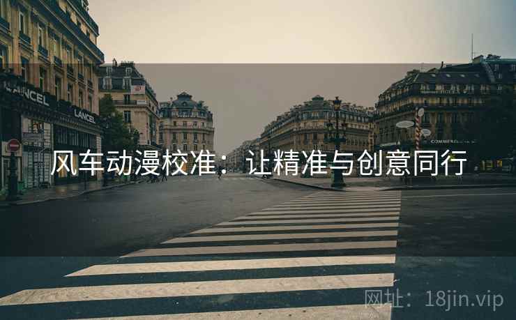 风车动漫校准:让精准与创意同行