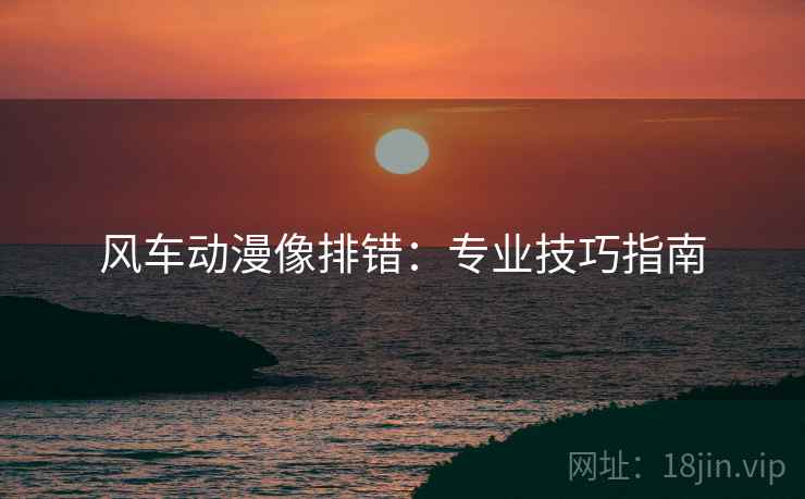 风车动漫像排错：专业技巧指南