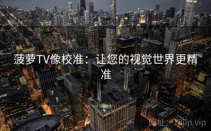 菠萝TV像校准：让您的视觉世界更精准